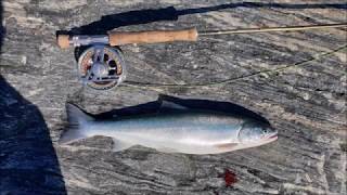 June 2020 Fly Fishing arctic char Greenland Kangerlussuaq Søndre Strømfjord [upl. by Jacquelin]