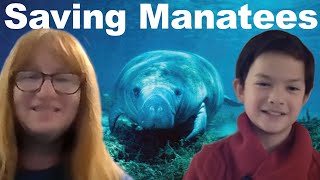 All about Manatees [upl. by River]