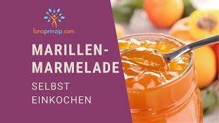 Marillenmarmelade selber machen Mein KonfitüreRezept aus Österreich selbst eingekocht [upl. by Hairahcez]