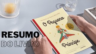 Resumo em áudio do livro O PEQUENO PRÍNCIPE  Antoine de Saint Exupéry  audiobook [upl. by Antonius214]