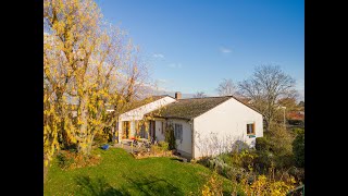 IMMOBILIENTOUR Gepflegter Bungalow mit liebevoll angelegtem Garten und Garage in Limburgerhof [upl. by Dannie]