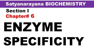 Chp6 Satyanarayana Biochemistry  Enzyme Specificity  Biochemistry Lectures [upl. by Einwahr]