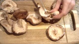 How to Prepare Shiitake Mushrooms for a Stir Fry [upl. by Ahtebbat]