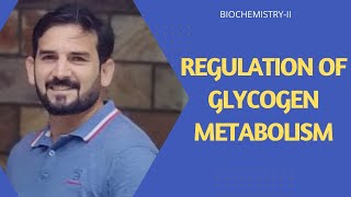 Regulation of Glycogen  Glycogen Regulation in liver amp Muscle Hormonal Regulation of Glycogen [upl. by Gambrill198]