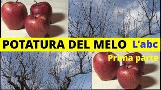 POTATURA DEL MELO nozioni base OS 71 [upl. by Lleznol301]