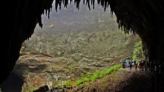 Explorando Nuestra Isla  Cavernas del Río Camuy [upl. by Erena]