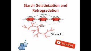 Starch Gelatinization and Retrogradation  Food Technology [upl. by Leahcimsemaj701]