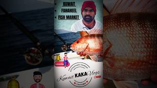 Kuwait Fahaheel fish market kuwaitkakavlogs fish fishingvideo [upl. by Yolane]