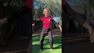 FLYING TO THE STARS QI GONG SHIBASHI FOR ENLIGHTENMENT qigong shibashi enlightenment flying [upl. by Eahsel]