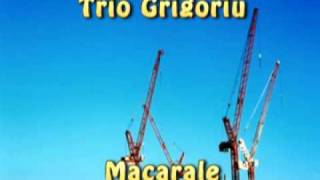 Trio Grigoriu  Macarale [upl. by Puttergill670]