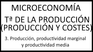 3 Producción productividad marginal y productividad media [upl. by Justina]