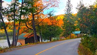 Gatineau Park in Fall canada quebec [upl. by Lillie]