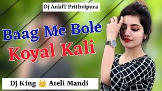 Baag Me Bole Koyal Kali Anjali Raghav New haryanvi Song Remix Oye AnkiT Prithvipura [upl. by Hewitt]