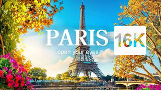 Paris in 16K Videos with SUPER ULTRAHD 240FPS  Sony Demo [upl. by Harikahs]