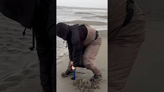 Razor Clam digging Washington State [upl. by Wilser]