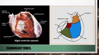 Right Ventricular Failure  A comprehensive lecture on Pathophysiology Diagnosis and Treatment [upl. by Lehcar]