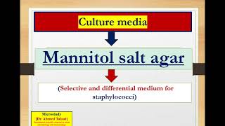 Culture media 1 Mannitol salt agar media [upl. by Forland]