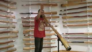 How To Imitate Animal Sounds On The Didgeridoo [upl. by Till]