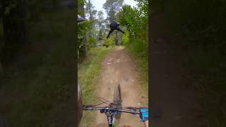 fun ride at cikole bikepark shorts mtb downhill metallica [upl. by Ayel]