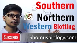 Difference between Southern and northern blotting and western blotting [upl. by Lem]