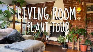 Houseplant tour Spring 2020  My living room [upl. by Elleirb39]