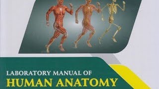 DPHARMACY FIRST YEAR Laboratory Manual Answer Key HUMAN ANATOMY AND PHYSIOLOGY 20222023 dpharma [upl. by Faux]