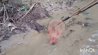 Fishing with handmade electric fishing machine [upl. by Dalt]