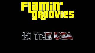 Flamin´Groovies ⭐ in the USA⭐Slow Death Live⭐ 2010 [upl. by Beker]