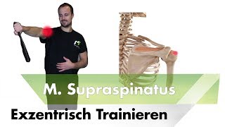 Exzentrisch training supraspinatus [upl. by Euqinad]