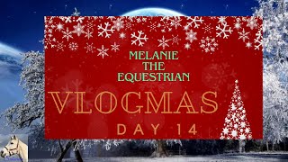 Advent Calendar Puzzle 14Horses amp Barn Cats In The Month Of November 2023 Vlogmas Day 14 [upl. by Ecineg]