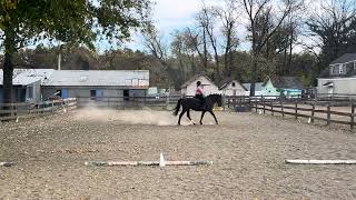 CDWA Turkey Trot Show 24449 Entry 4564 Western Dressage Intro 4 [upl. by Jehial]