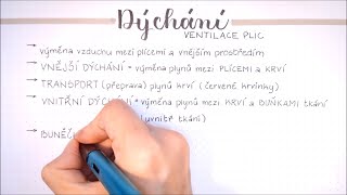 Dýchací soustava  Dýchání [upl. by Ellebasi]