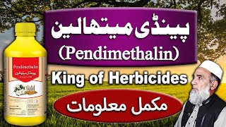 Technical information of Pendimethalin herbicide  Crop Reformer [upl. by Sukin]