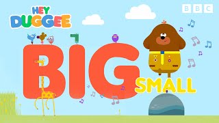 Big and Small Song 🩷 🎵  Hey Duggee [upl. by Ivette]