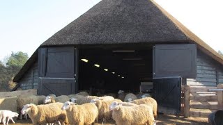 Een nachtje in de schaapskooi  De Wegbereiders [upl. by Krantz]