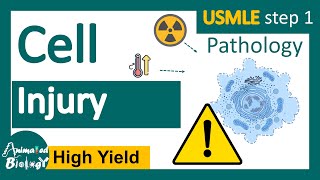 Cell Injury  Reversible vs Irreversible cell injury  General Pathology Animated USMLE step1 [upl. by Nathan]