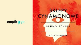 Lektura szkolna Sklepy cynamonowe  Bruno Schulz Audiobook PL [upl. by Nodmac]