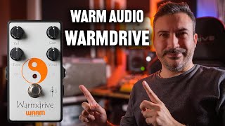 WARM AUDIO WARMDRIVE OVERDRIVE PEDALI İNCELEMESİ [upl. by Vine]