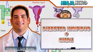 Diabetes Insipidus and SIADH  Clinical Medicine [upl. by Dloraj]