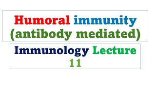 Humoral  antibody mediated immunity  Immunology lecture 11 [upl. by Jemena]