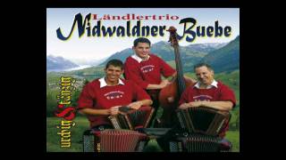 niedwaldner buebe s brändli teamWMV [upl. by Ativahs]