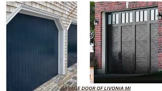 Garage Door Of Livonia [upl. by Enilrem945]