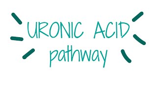 Uronic acid pathway  Biochemistry [upl. by Calhoun]