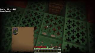 Minecraft Random World Stream No Commentary [upl. by Naaitsirhc]