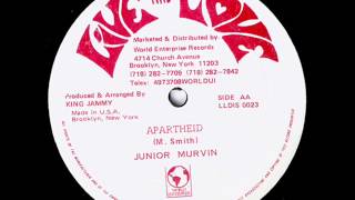 Junior Murvin Apartheid amp Dub [upl. by Anrev]