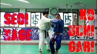 Seoi Nage and Ko Uchi Gari Combination by Korean 7th Dan HD [upl. by Airel]