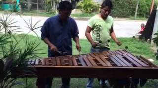 Soy el muchacho alegre en marimba [upl. by Nihahs]