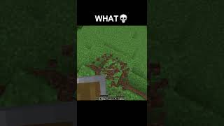 Minecraft WHAT Moment minecraft shorts minecraftshorts [upl. by Ausoj]