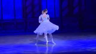 Cinderella ballet by Victoria Ballet Company Canada [upl. by Aynekal]