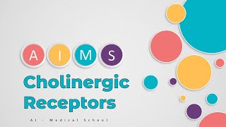 Pharmacology  Cholinergic Receptors  AI Medical School [upl. by Melosa]